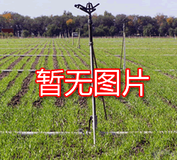 小麦的几种灌溉技术